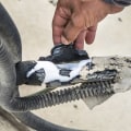 The Truth About Freon Leaks and How to Repair Them